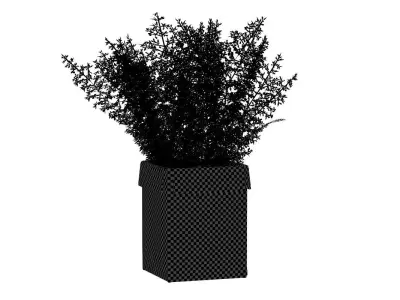Pot Plant Nr 14 3D model