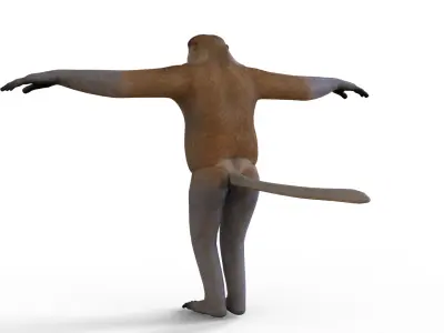 Bekatan 3D model