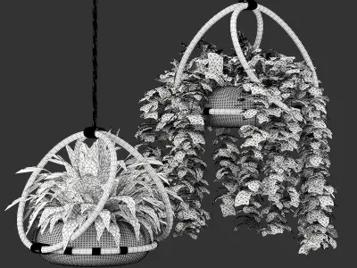 boho-hanging-plants 3D model