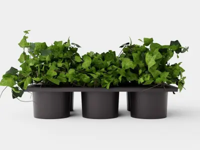 Hedera helix Low-poly 3D model