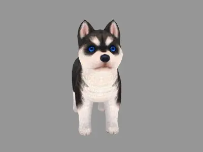 Cartoon pet puppy - Husky - baby dog Low-poly 3D model