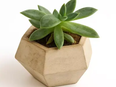 Vase Mold Low Poly 2 3D print model