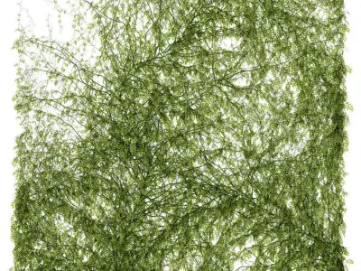 Leaves for walls 3D model