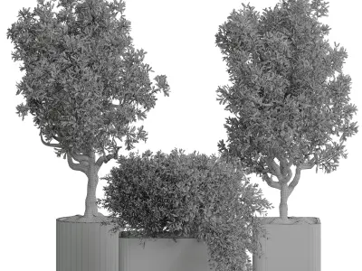 Indoor plant 04 3D model purchase