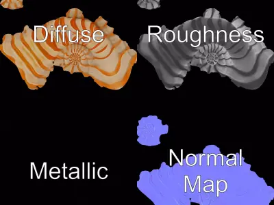 Spiral Tangerine Seashell model pack Low-poly 3D model