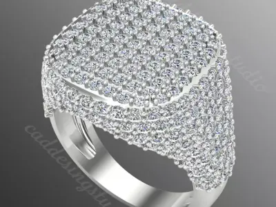 Ring ri236 3D print model