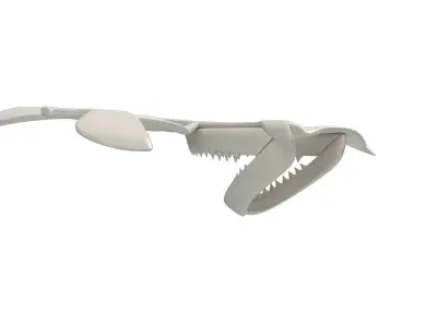 Hammerhead Shark Skull 3D model