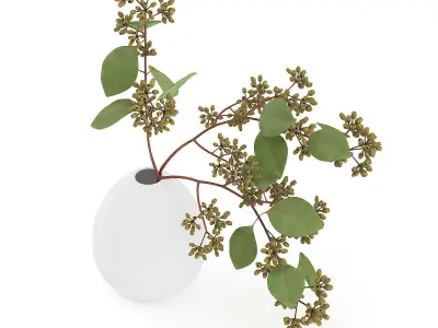 Sugar Gum Twigs in White Vase 3D model