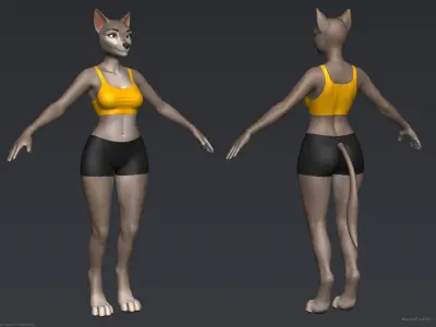 Furry Girl 3D model