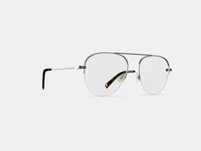 Vargas Eyeglasses in Antique Silver 3D model