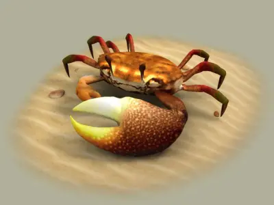 Fiddler crabs Hai River crabs hairy crabs shells oceans 3D model