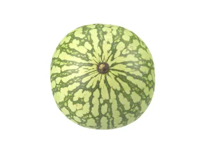 Photorealistic Watermelon 3D Scan 3D model