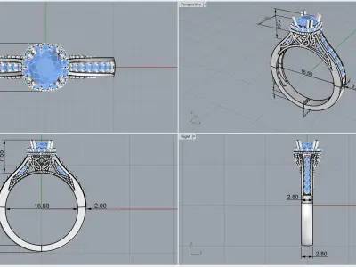ring code 79 3D print model