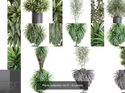 Plants collection vol 51