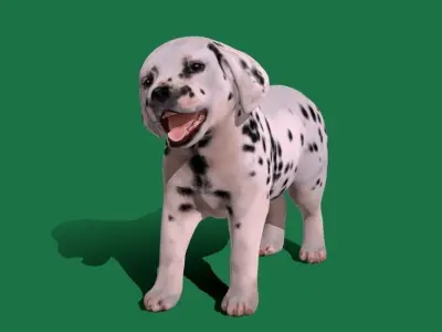 Dalmatian Puppy Dog  Low-poly 3D model