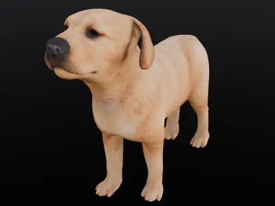Puppy Animated Rigged  Low-poly 3D model