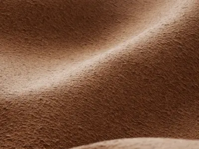 Natural leather backside 02 Texture