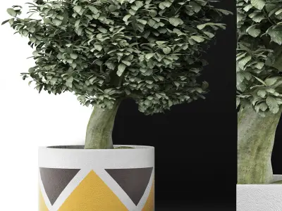 Plants Collection 121 3D model