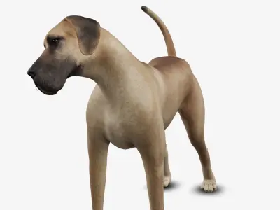 Dog german mastif Low-poly 3D model