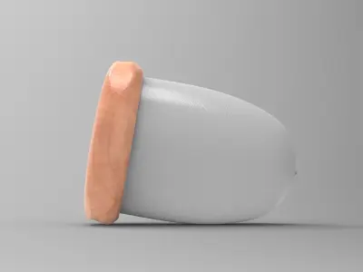 Coqa Storage Box Low-poly 3D model