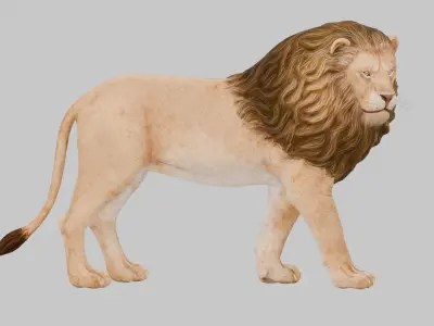  lion 3D Model Low-poly 3D model
