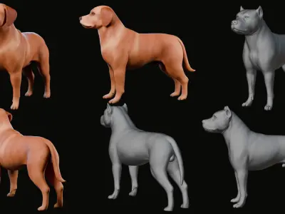 Dog Labrador Retriever Animal Low-poly 3D model