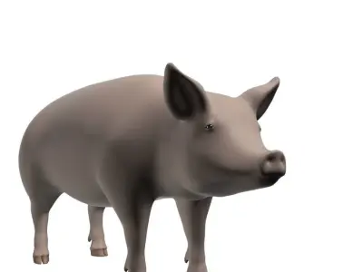 Realistic Pig 001 3D model