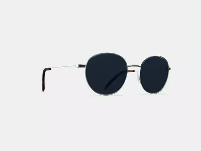 Merrick Sunglasses in Polished Silver 3D model