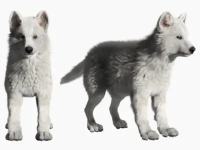Wolf baby with realistic fur Low-poly 3D model