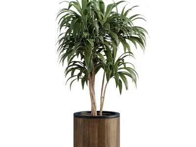 13 High Quality 3D Pot plants 3D model