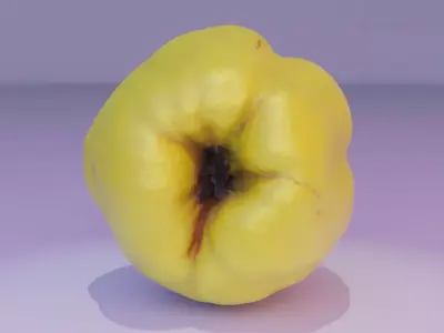 Quince fruit 04 high-poly 3D model