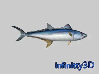 Coral Fish Pack 1 Low-poly 3D model