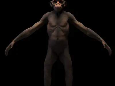 Ape High Detailed High and Low Poly Low-poly 3D model