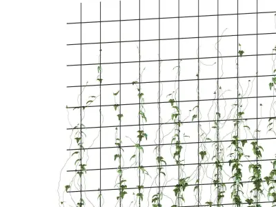 Ivy model on the grate in a long pot 3D model