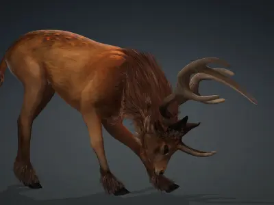 Deer-B2 3D model