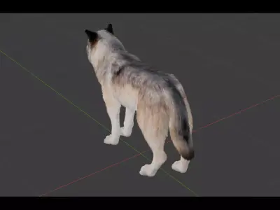 Classic Wolf Low-poly 3D model