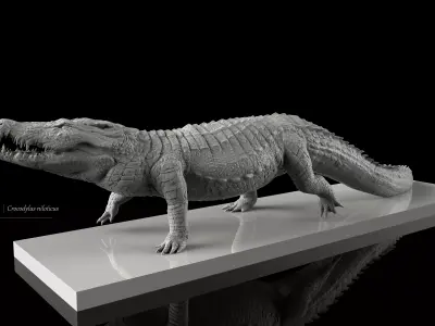 Nile Crocodile Walking Pose 3D Model Decimated 3D model