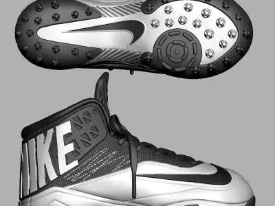 Nike Zoom Code Elite Destroyer Football Cleats  3D print model