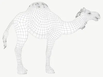 Dromedary Camel Low-poly 3D model