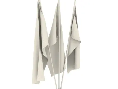 Paraguay Flag Pack 3D model
