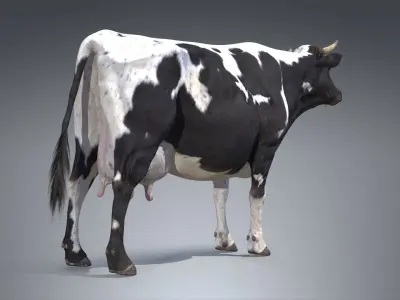 Dairy Cow PBR Low-poly 3D model