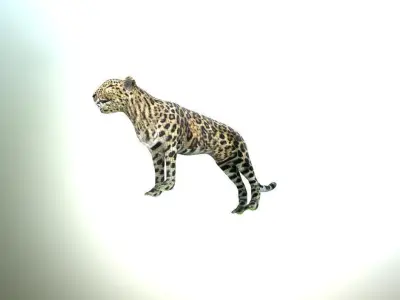LEOPARD LOWPOLY jaguar Low-poly 3D model