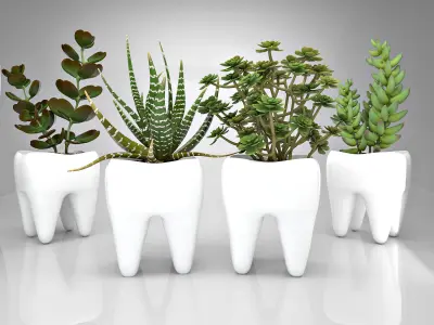Tooth  Pot - Succulent Plant  3D model