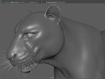 Tiger Low-poly 3D model