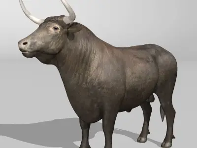 Bull - Rigged 3D model