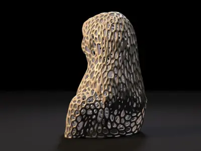 Young woman Voronoi 3D print model