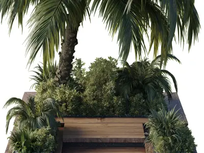 garden pot tree palm bush Collection Outdoor plant  3D model