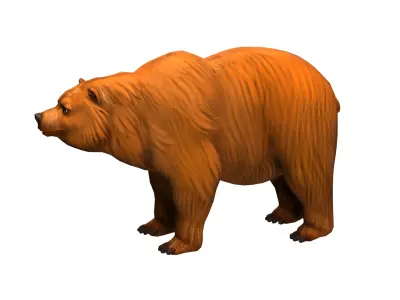 bear  rig  high-poly  textured  3D model
