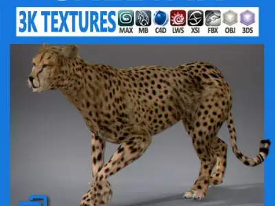 Cheetah 3D model