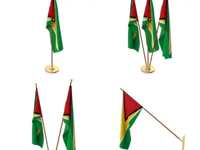Guyana Flag Pack 3D model